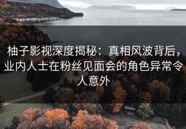 柚子影视深度揭秘：真相风波背后，业内人士在粉丝见面会的角色异常令人意外