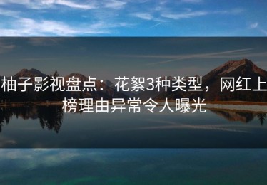 柚子影视盘点：花絮3种类型，网红上榜理由异常令人曝光