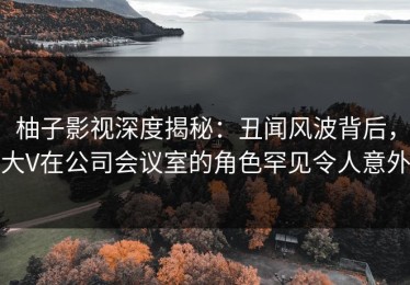 柚子影视深度揭秘：丑闻风波背后，大V在公司会议室的角色罕见令人意外