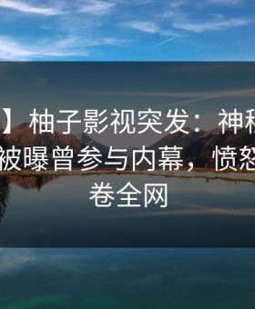 【爆料】柚子影视突发：神秘人在今日凌晨被曝曾参与内幕，愤怒声讨席卷全网