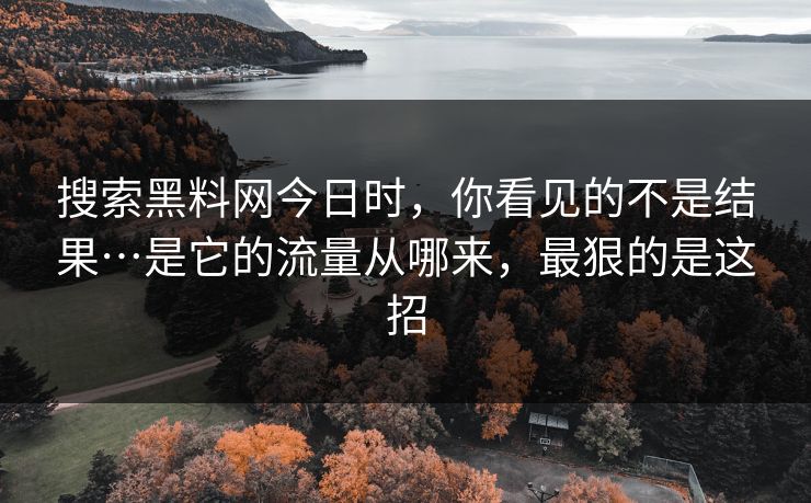 搜索黑料网今日时,你看见的不是结果…是它的流量从哪来,最狠的是这招 搜索黑料网今日时,你看见的不是结果…是它的流量从哪来,最狠的是这招