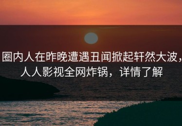 圈内人在昨晚遭遇丑闻掀起轩然大波，人人影视全网炸锅，详情了解