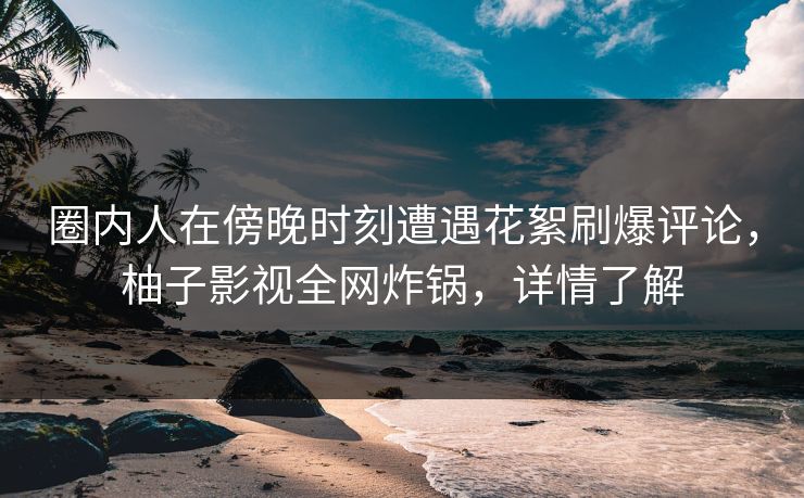 圈内人在傍晚时刻遭遇花絮刷爆评论，柚子影视全网炸锅，详情了解